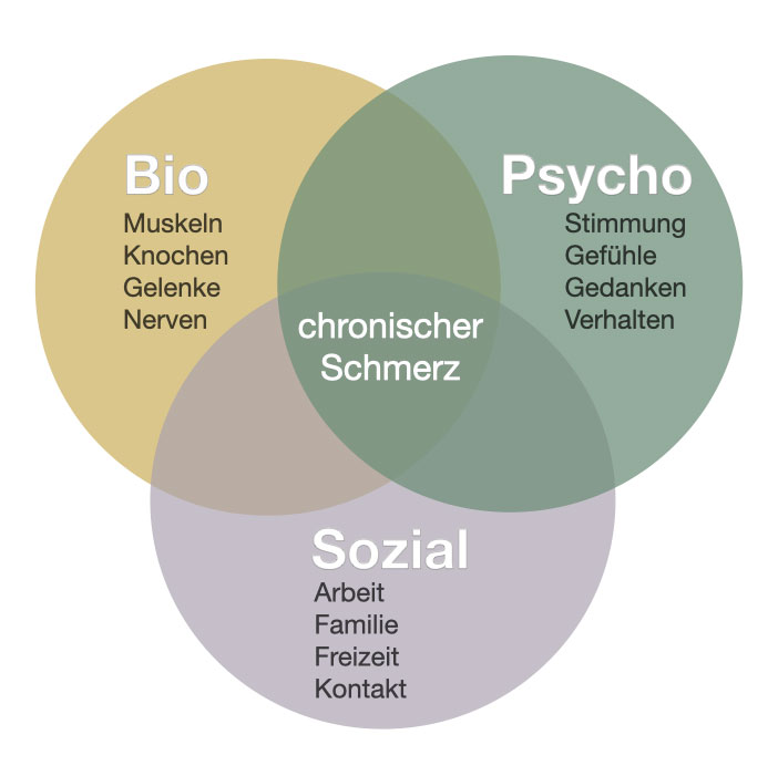 Das Bio-Psycho-Schmerzmodell